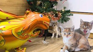 Kitten's reaction to seeing a dinosaur