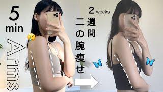 【夏までに二の腕痩せ！】ほぼ座ったままで効果が出る5分間の鬼トレーニング｜5min Toned Arms workout