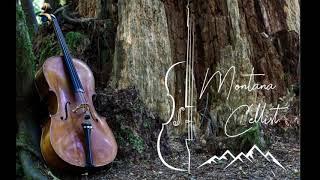 "Stillness" Cello, forest sounds, birds, water ambient 432 hz music nature series #6