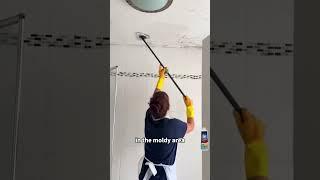 Effective Mold Removal Tips for Dark Corners #homecare