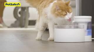 How to Assemble and Clean Your PetSafe®Outlast™ Pumpless Pet Fountain