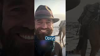 10 лет ездил по миру без самолетов