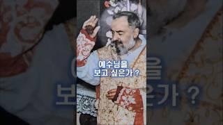 247. 예수님을 보고 싶은가?     #쇼츠 #가톨릭  #천주교  #성인 사제