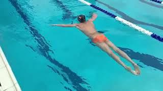 Michael Andrew breaststroke sample Aug 2018