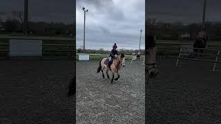 My pony Louis #horseriding #snowballfarm #natalia #pony #equestrian #louis #horse