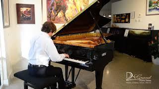 Francesco Libetta plays Schubert: Wanderer-Fantasie