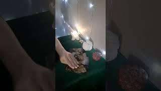 Что будет если Вы проявитесь к нему