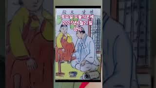 양띠 오늘의운세 2025년6월19일 운세 #운세 #오늘의운세 #양띠운세