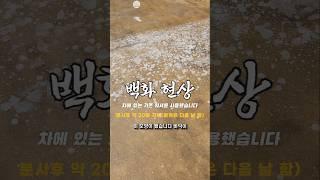 워셔액의 백화 현상 원인 뭘까요?