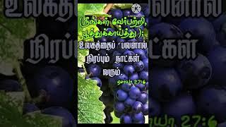 Aaruthalin Deivame/Tamil Christian Song/GRACE JESUS