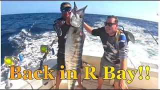 Back Marlin Fishing Richards Bay!!