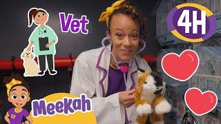 Meekah's Pawsome Playful Pet Care! | 4 HOURS OF MEEKAH! | Educational Videos for Kids