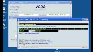 VCDS Settings for Rear View Camera Install