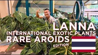 LANNA International Exotic Plants Thailand - Part 2 | Rare AROIDS