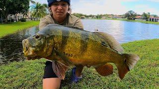 INSANE South Florida Fishing