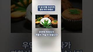 태국여행 해외여행가서 이 잎사귀 보이면 절대 먹지 마세요
