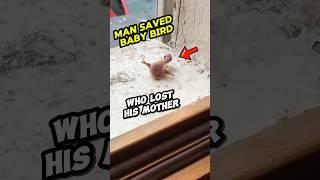 Bird Lost His Mother But A Kind Man Rescues the Bird #shorts