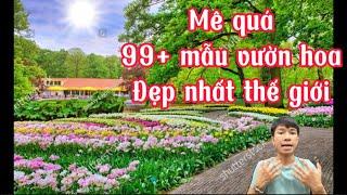 Tranh hoa tulip 3d đẹp mới nhất hiện nay được e Ninh chọn lọc