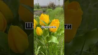 Штучні квіти