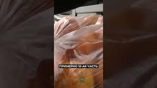 На Ямале растёт спрос на мандарины #новости #янао