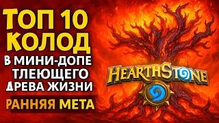 Топ 10 Колод в Мини-Допе Тлеющее Древо Жизни - Ранняя META Hearthstone!