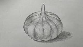 How to draw a garlic || Pencil shading for beginners