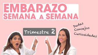 Dudas, consejos y curiosidades del EMBARAZO: ¡segundo trimestre! | Mifarma Farmacia