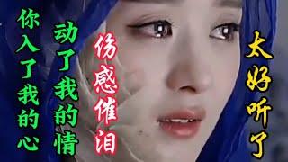 伤感情歌《你入了我的心动了我的情》句句戳心催泪听哭了痴情男女