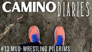 Mud-Wrestling Pilgrims: Camino Diaries #13