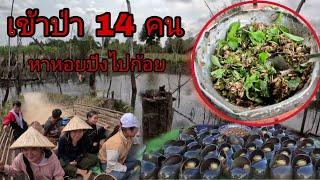 เข้าป่า 14 คนหาหอยปังไปก้อย/ເຂົາປ່າ14ຄົນຫາຫອຍປັງໄປກ້ອຍ