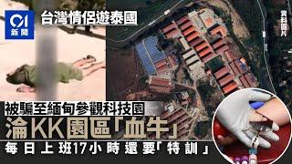 台灣情侶泰國旅遊被騙去緬甸「KK園區」　淪為血奴遭凌虐生不如死