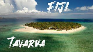 Tavarua, Fiji: The Surf Paradise Perfect for an Unforgettable Family Adventure!