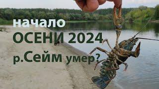 Начало сезона Осень 2024 Катастрофа в р.Сейм и р.Десна