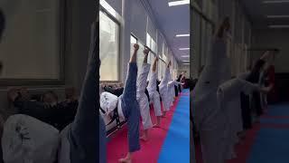 용인대 옆차기 훈련중~ #yt #태권도 #forms #tkd #martialartstraining #kick #taekwondo #karate #dance #martialarts