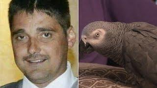 Parrot Was Key 'Witness' in Murder Trial as Woman Is Convicted of Killing Husband