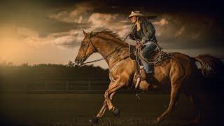 To Photograph Horses With Flash SAFELY- First Understand The Horse.