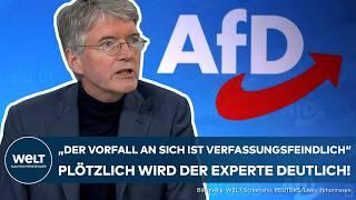 AFD-VERBOT: "Das ist die Atomkanone des Verfassungsrechts!" - Plötzlich wird der Experte deutlich