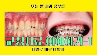 교정치료 이해하기-1‍️(흥지혜)