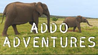 LOST AT ADDO ELEPHANT NATIONAL PARK