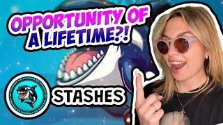 Stashes Review - Learn how to Become a Web 3 Whale TODAY!