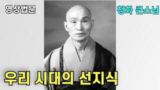 우리 시대의 선지식 청화큰스님 법문 보는 법