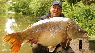 Karpfenangeln - Videotagebuch 26 -  Instantsession am kleinen Fluss