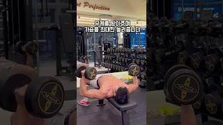 덤벨 플라이 제대로 하는 방법 #운동 #헬스 #가슴운동