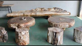 Living Room Petrified Wood Furniture #livingroomdecor