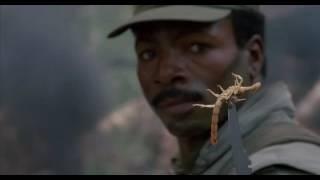 Predator 1987 Anytime