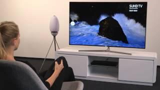 Samsung Smart TV: Externe Lautsprecher