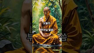 9월 7일 오늘의 부처님 말씀. #부처님 #말씀 #명언 #잠언 #힐링 #명상 #명상수업 #좋은글 #불교 #교리 #불교사상 #마음공부