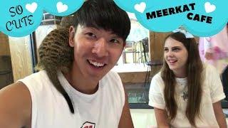 International Couple Hongdae Date: Meerkcat Cafe and Texas BBQ! | 국제커플 AKA 미어캣 카페 체험! & 텍사스 바베큐!