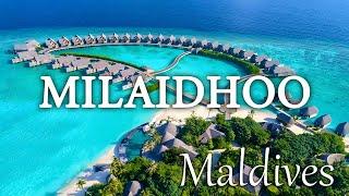 Milaidhoo Maldives  5 Star Luxury Resort Tour & Stays 