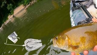 This 1/4oz buzzbait caught more smallies than I can count!!! | ISHTECH |